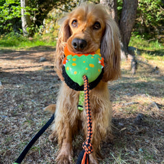 Snuggles Toy - Otto the Dino