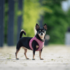 Air Vest Hundegeschirr - Matrix 2.0 Rose