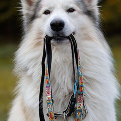 Multi Function Leash - Comic