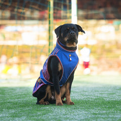 FC Barcelona dog raincoat – waterproof and adjustable for optimal protection on rainy walks.