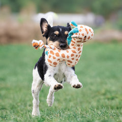 Huggles Toy - Giraffe Jerry