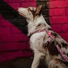 Multifunktionsleine - Leopard Pink