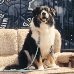 Tauleine - MATRIX 2.0 Jade