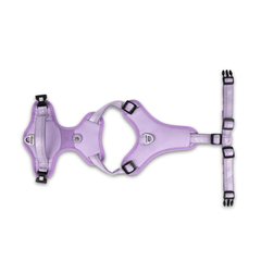 GOTCHA! Smart ID Sport Geschirr - Matrix 2.0 Lavendel