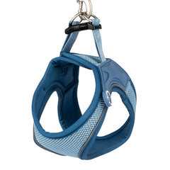 Max & Molly dog vest harness – breathable, lightweight, and ergonomic for maximum comfort and control.