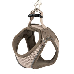 Max & Molly dog vest harness – breathable, lightweight, and ergonomic for maximum comfort and control.