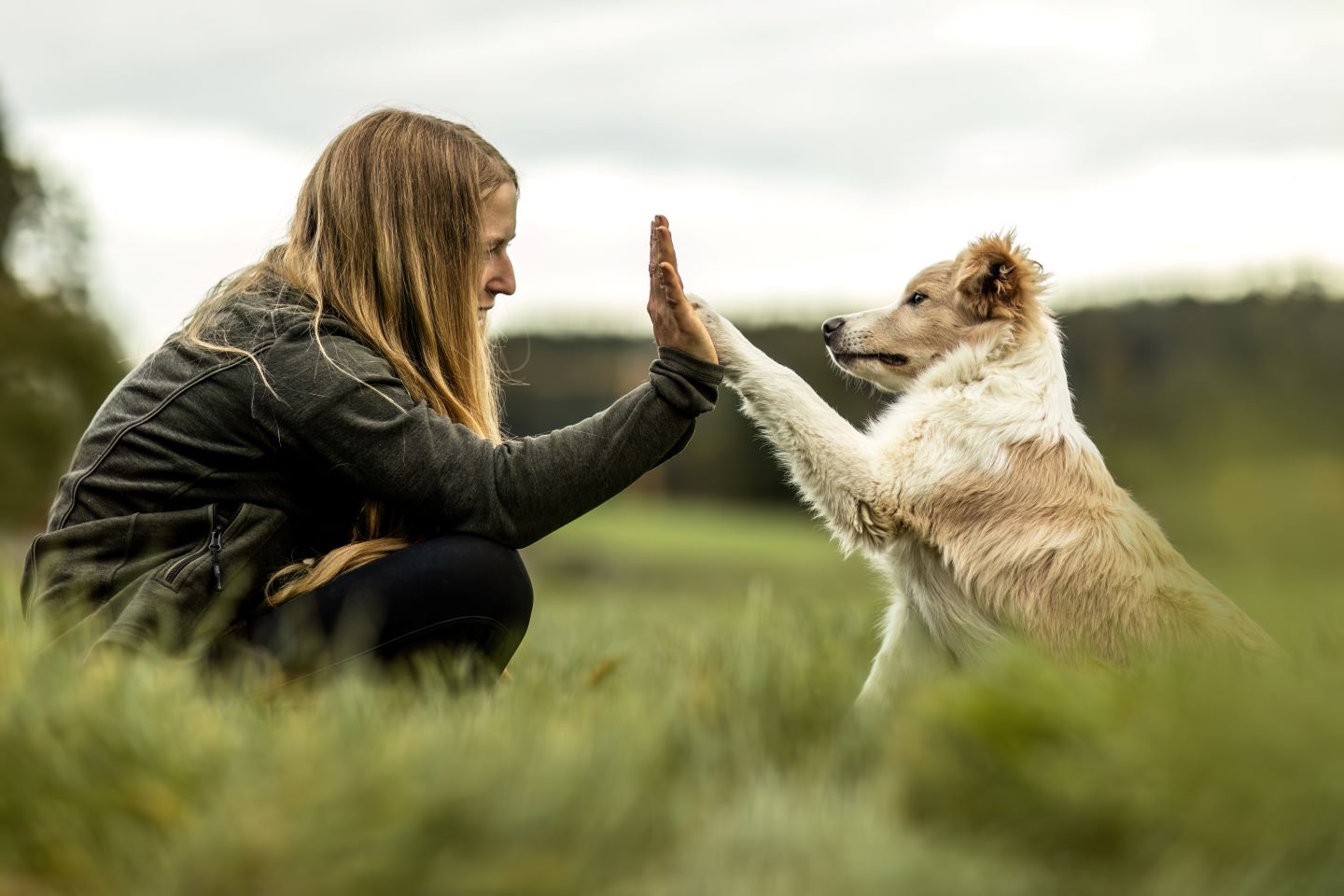 Bindung zu deinem Hund stärken