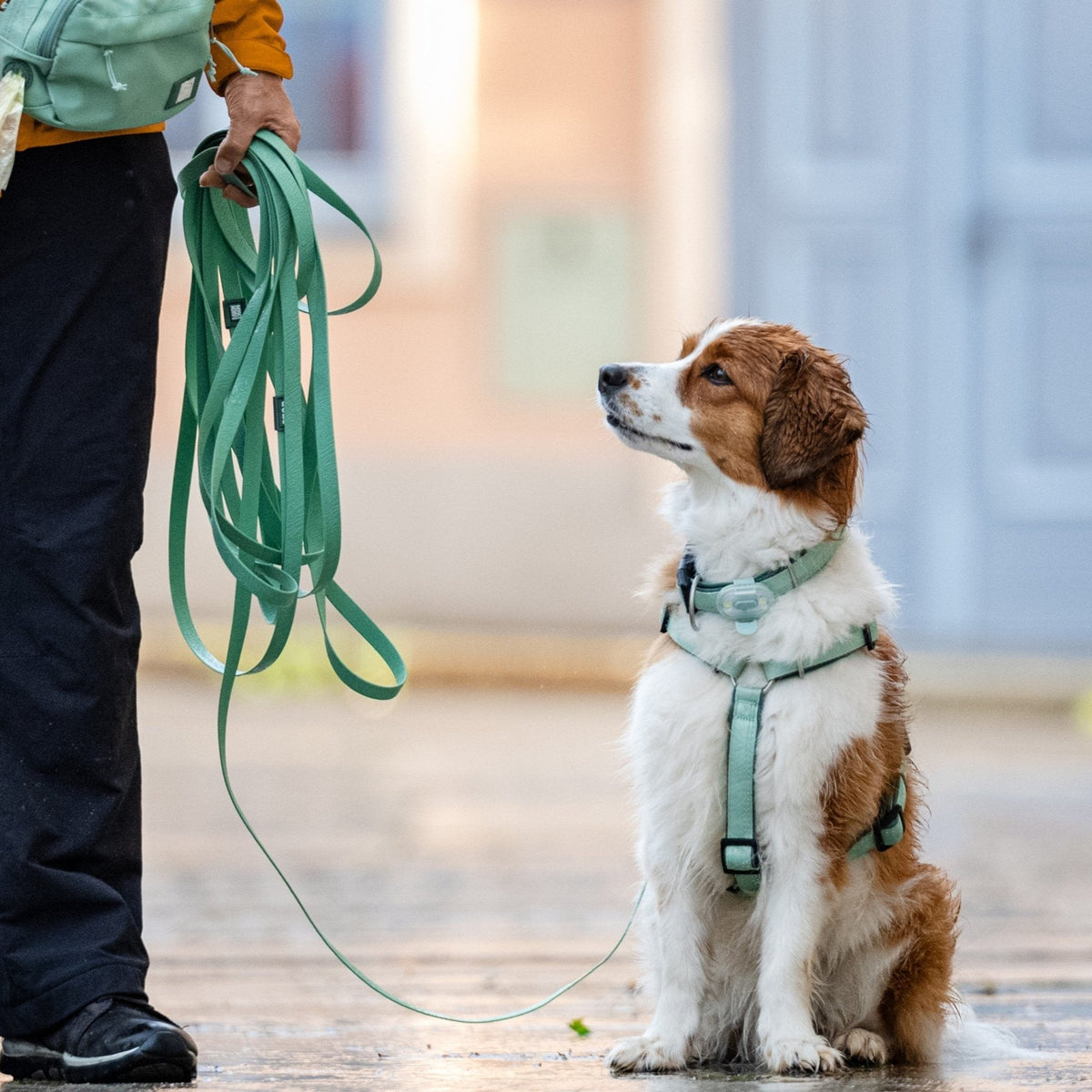 Matrix 2.0 - Tracking Leash