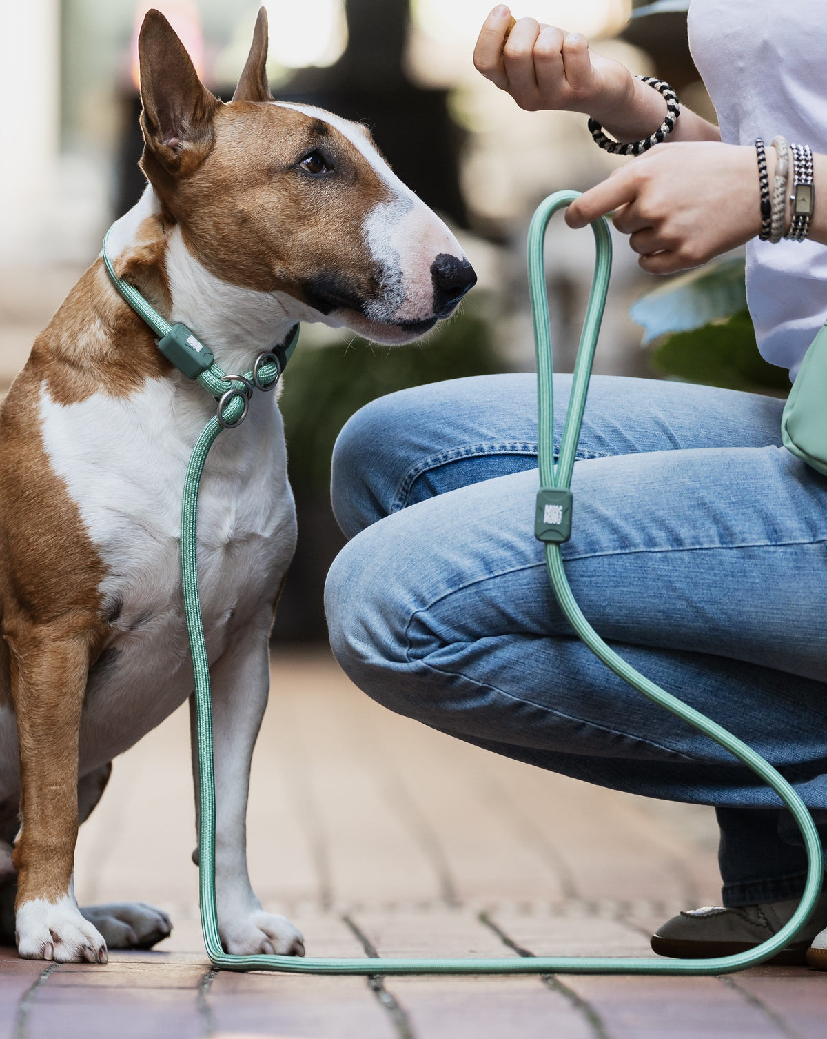 Retriever Leash