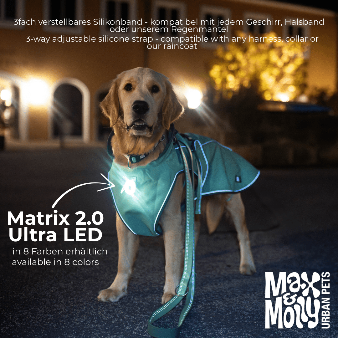 Matrix 2.0 Ultra LED - Sicherheitslicht Black