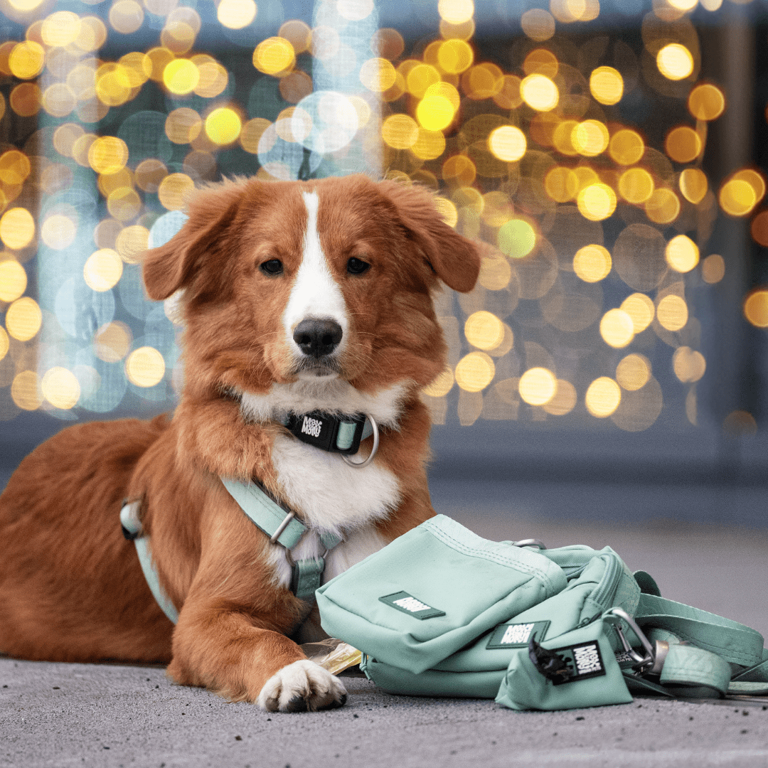 Trainings-Tasche - Matrix 2.0 Jade