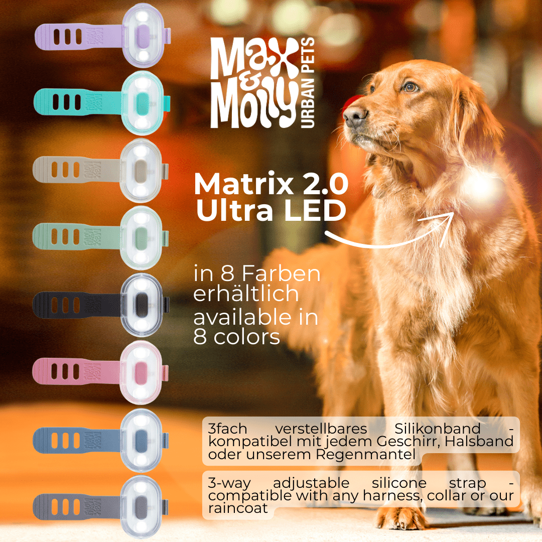 Matrix 2.0 Ultra LED - Sicherheitslicht Black