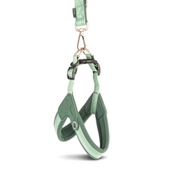 GOTCHA! Smart ID Q-Fit Harness - Matrix 2.0 Jade