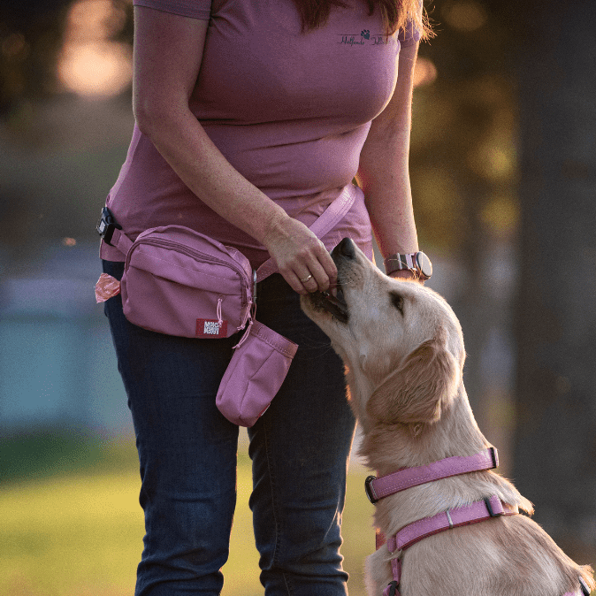 Trainings-Tasche - Matrix 2.0 Rose