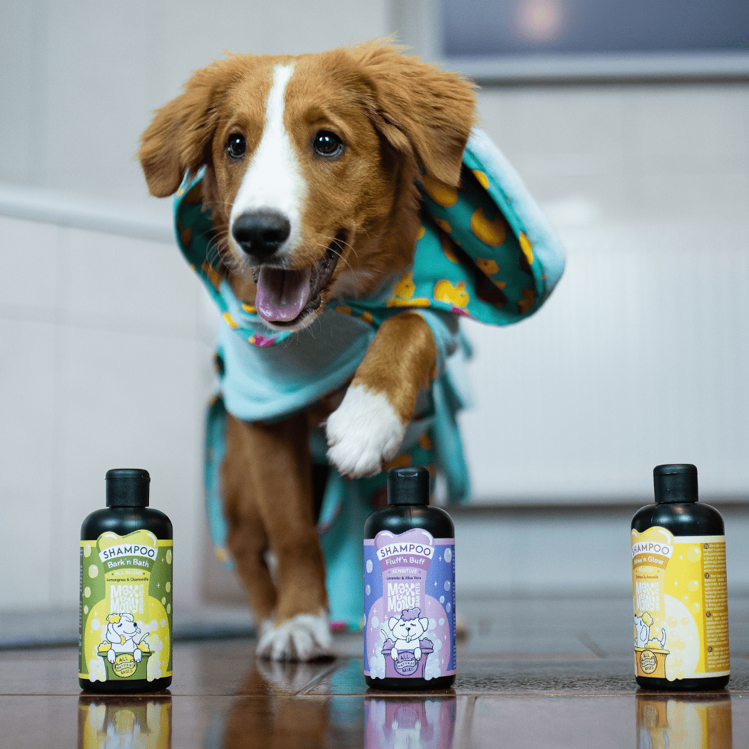 Dog Bathrobe - ORIGINAL Ducklings