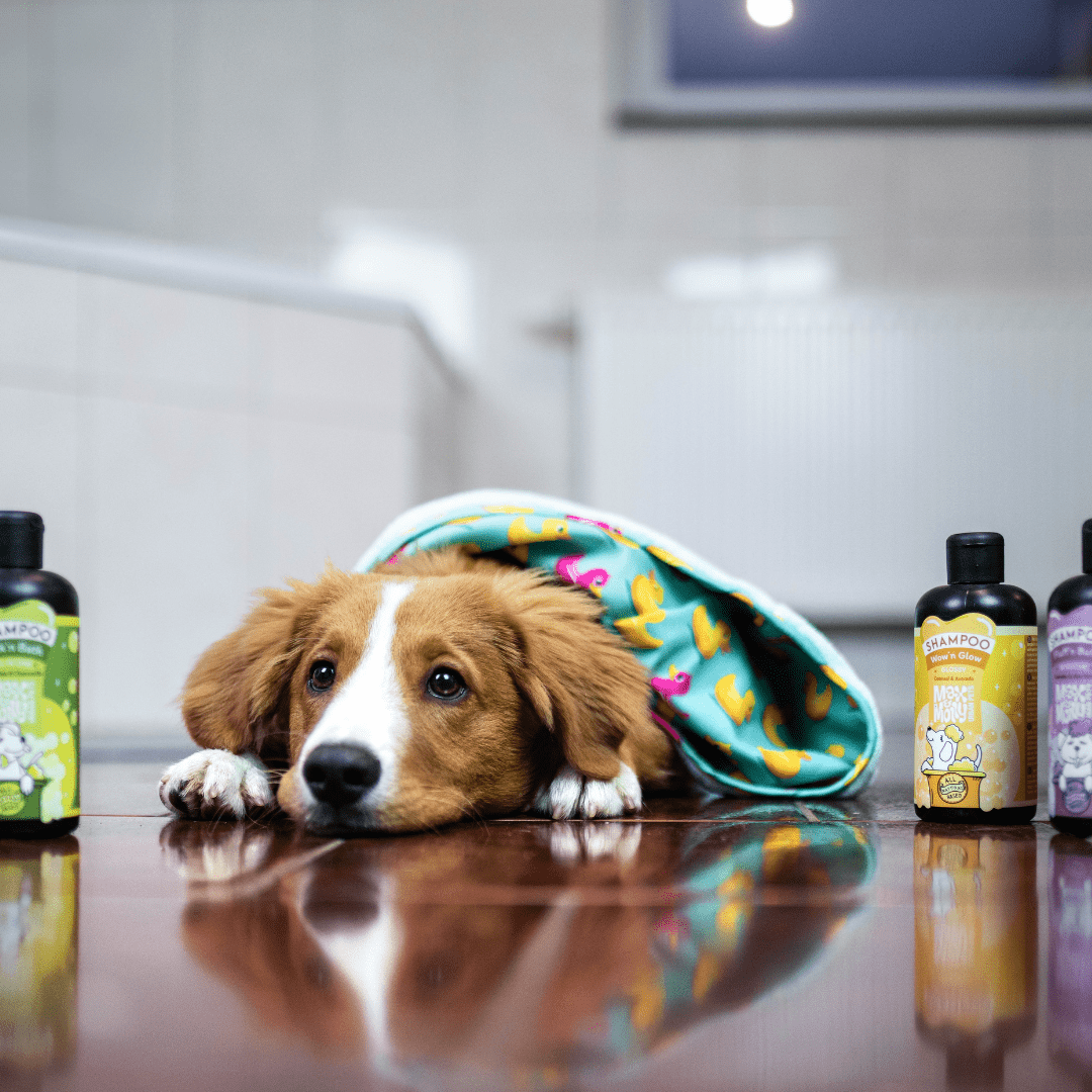 Dog Bathrobe - ORIGINAL Ducklings