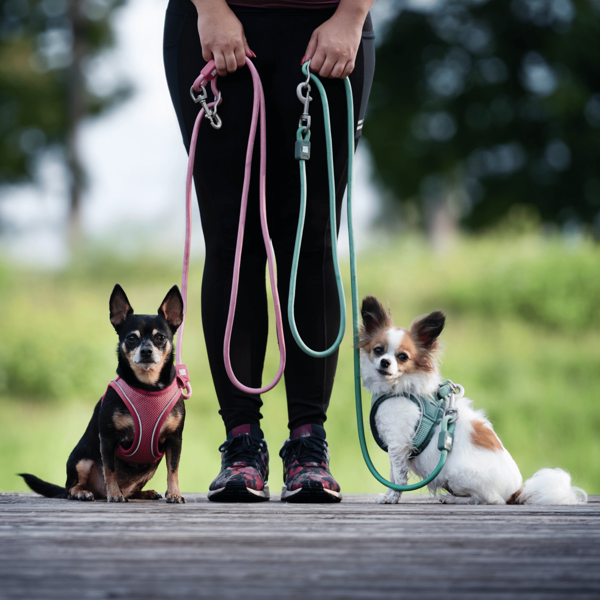 Air Vest Dog Harness - Matrix 2.0 ROSE