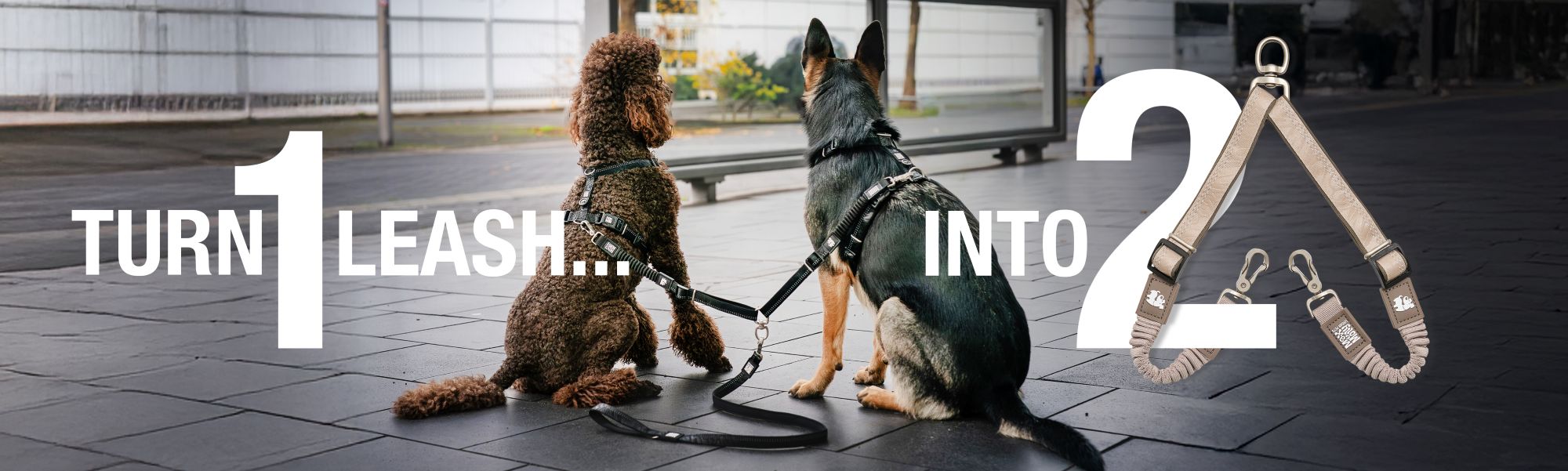 Safety Double Leash - Matrix 2.0 Sand