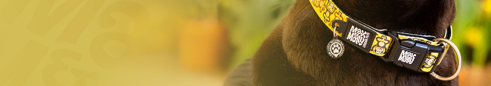 GOTCHA! Smart ID Anhänger