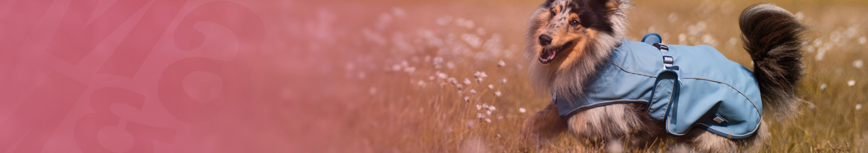 Hunde Regenmantel - Matrix 2.0