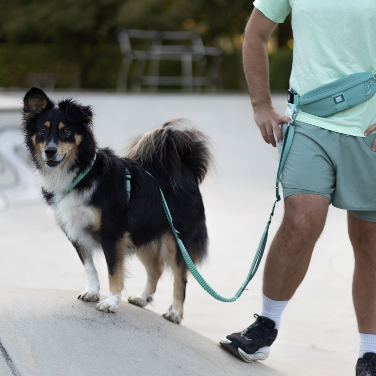 Joggingleine mit Gürteltasche - Matrix 2.0 Black