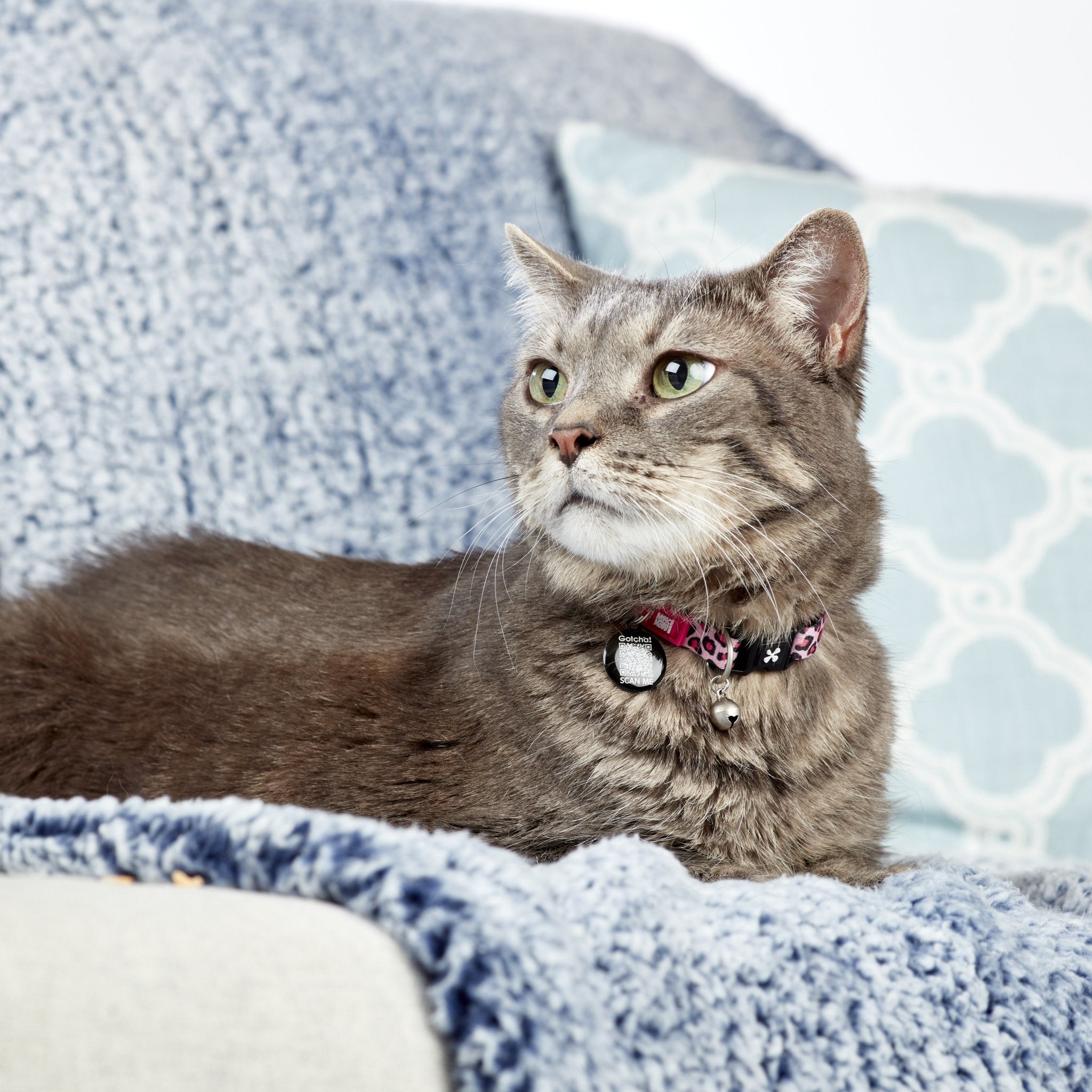 Smart ID Katzenhalsband - Leopard Pink