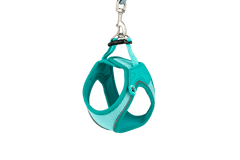Air Vest Dog Harness - Matrix 2.0 Turquoise