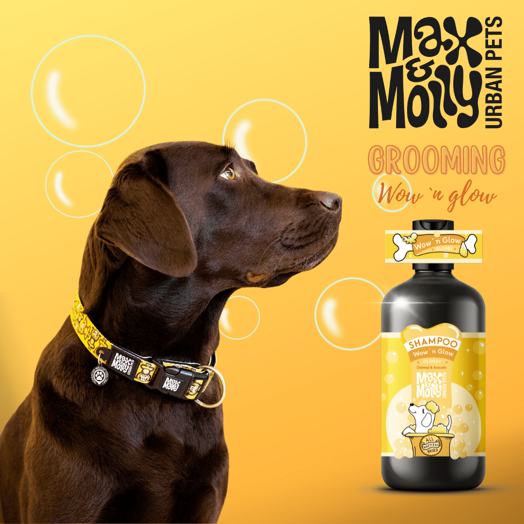 Hunde Shampoo Wow´n Glow 250ml