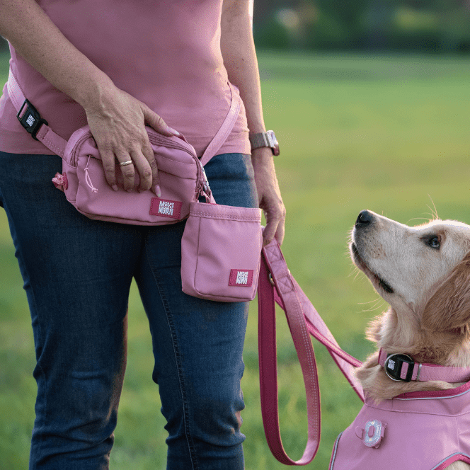 Trainings-Tasche - Matrix 2.0 Rose