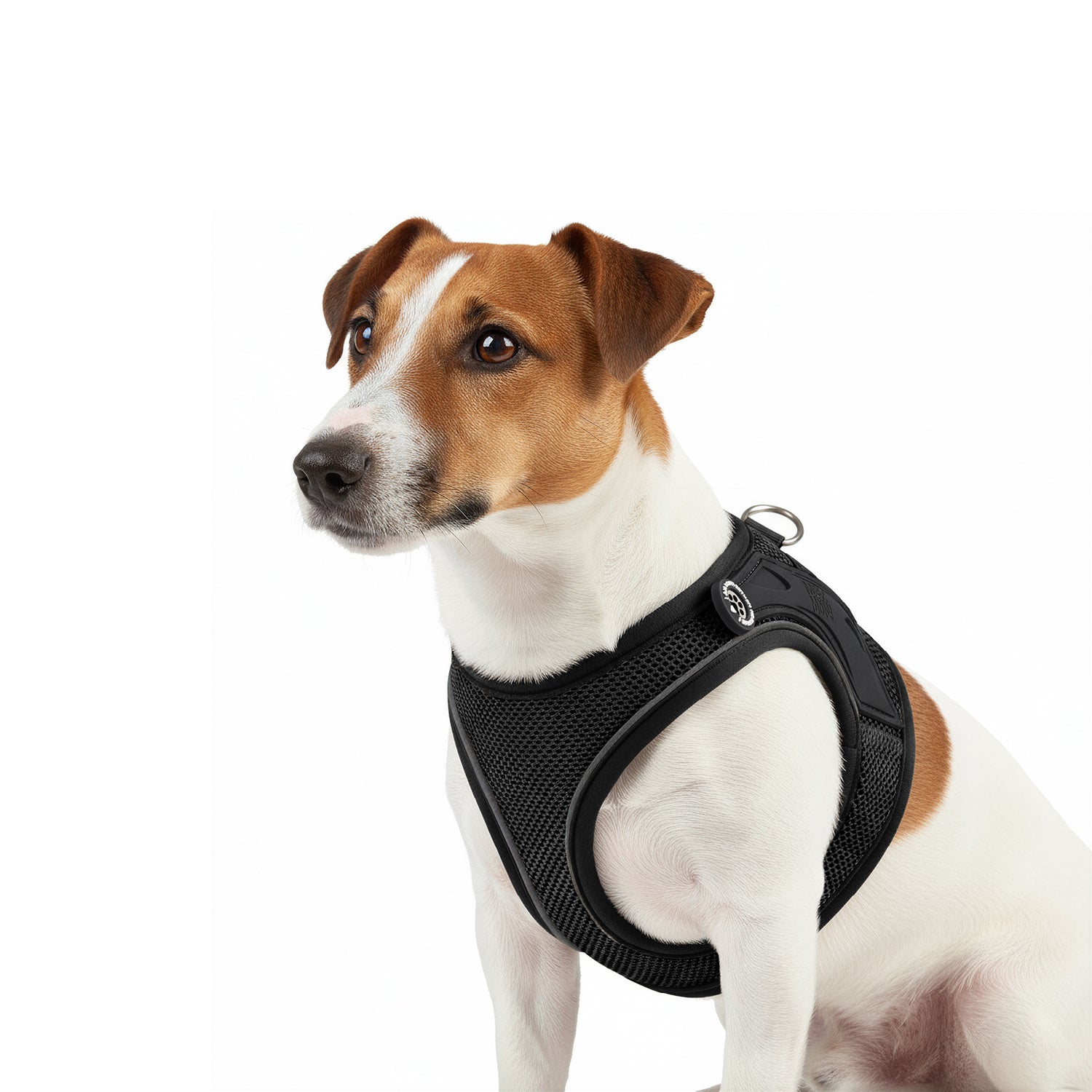 Air Vest Dog Harness - Matrix 2.0 Black