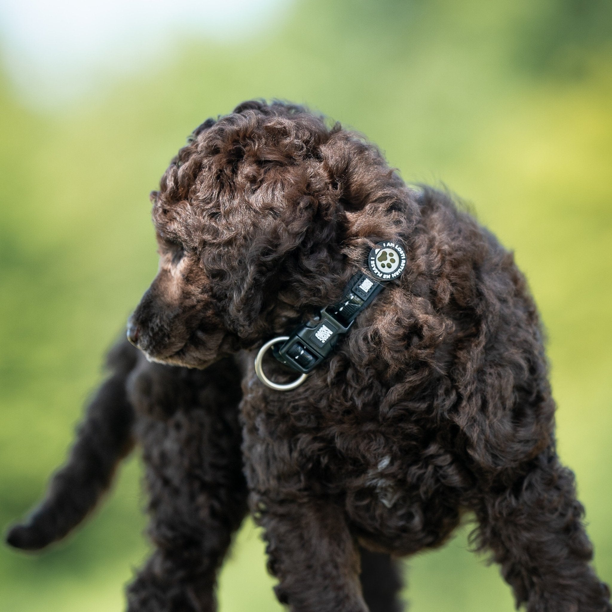 GOTCHA! Smart ID Collar - Matrix 2.0 Black