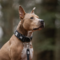 Smart ID Wide Collar - Matrix 2.0 Black