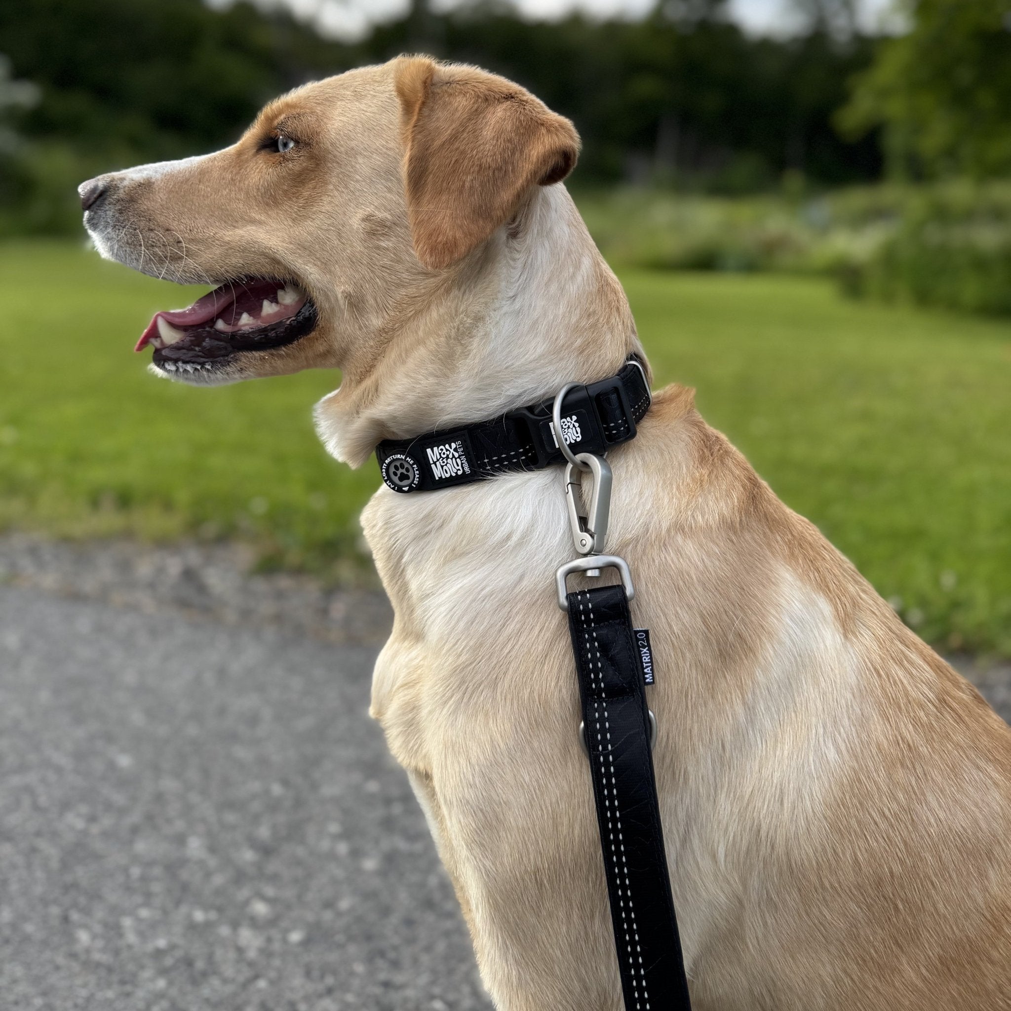 GOTCHA! Smart ID Collar - Matrix 2.0 Black