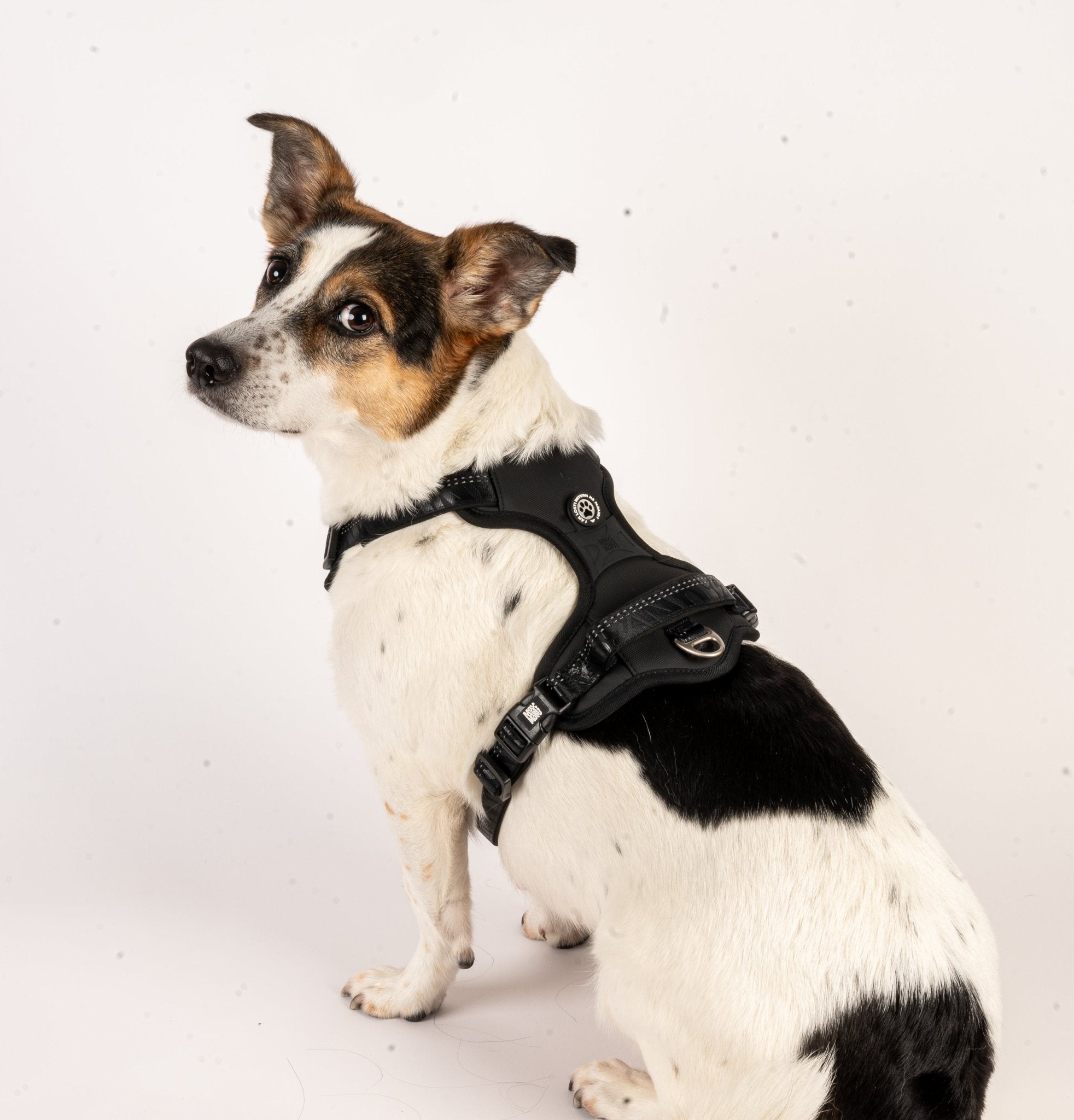 GOTCHA! Smart ID Sport Harness - Matrix 2.0 Black