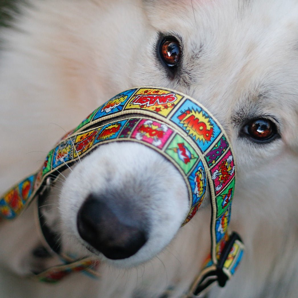 Multifunktionsleine - Comic