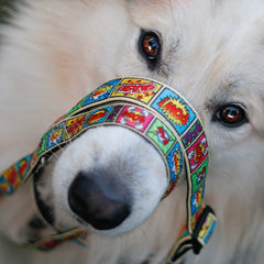 Multi Function Leash - Comic