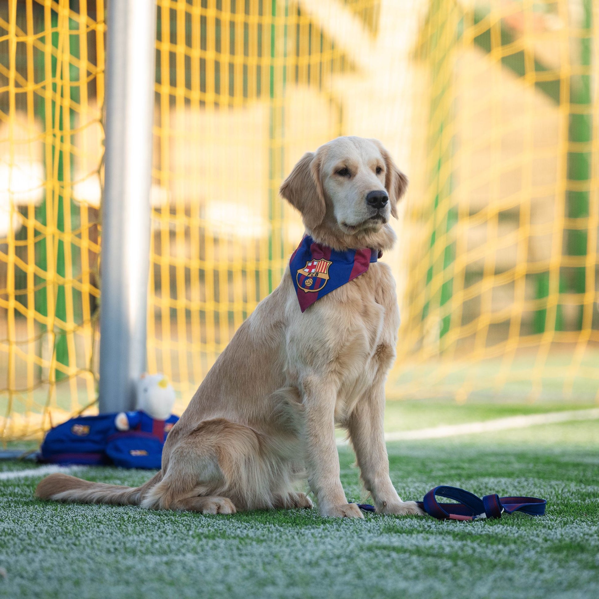 FC Barcelona dog bandana by Max & Molly – stylish and comfortable accessory for your dog.