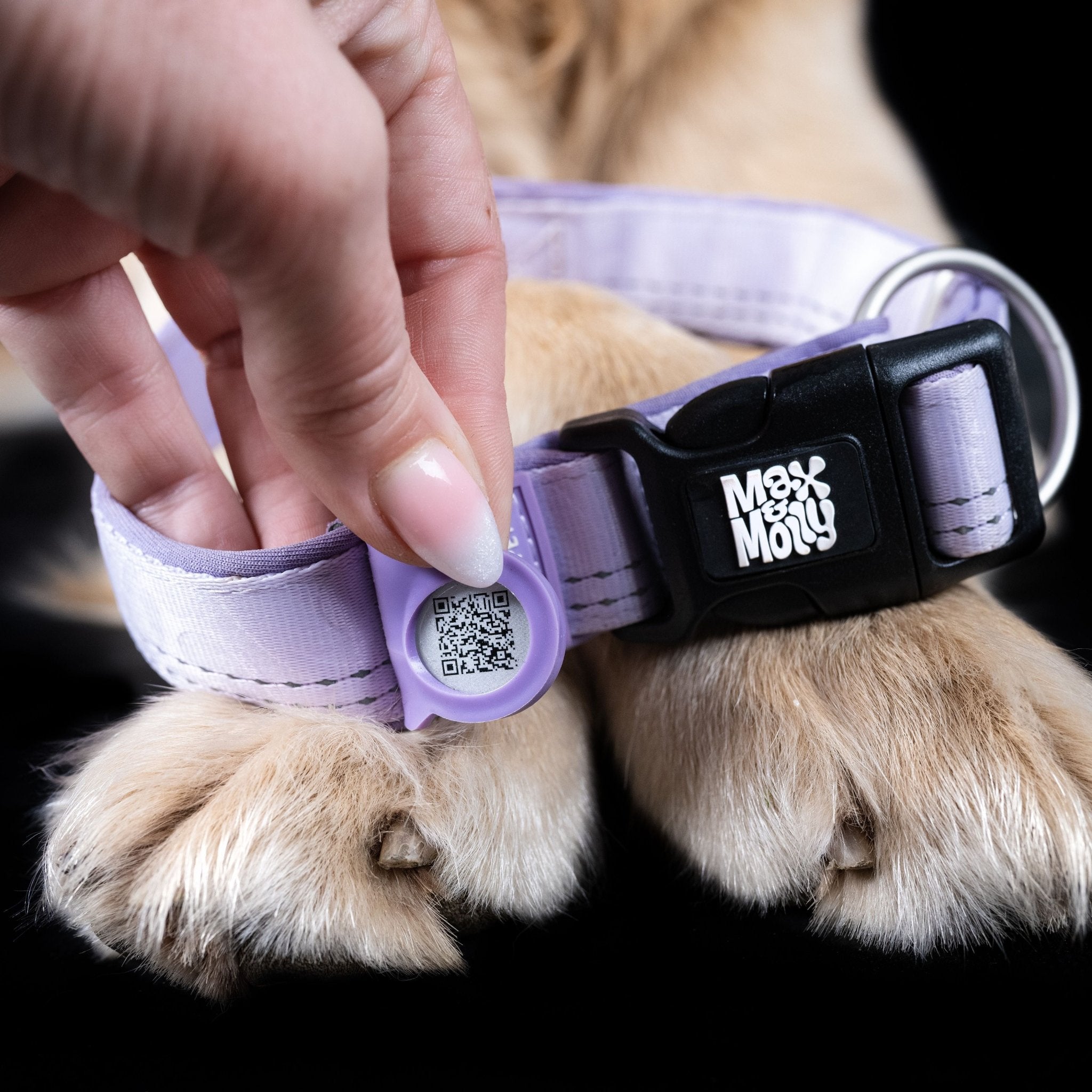GOTCHA! Smart ID Collar - Matrix 2.0 Lavender