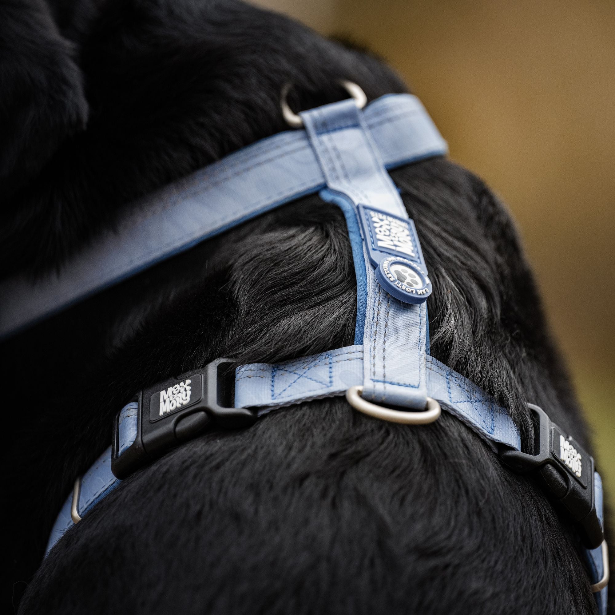 GOTCHA! Smart ID Comfort H-Harness - Matrix 2.0 Ocean