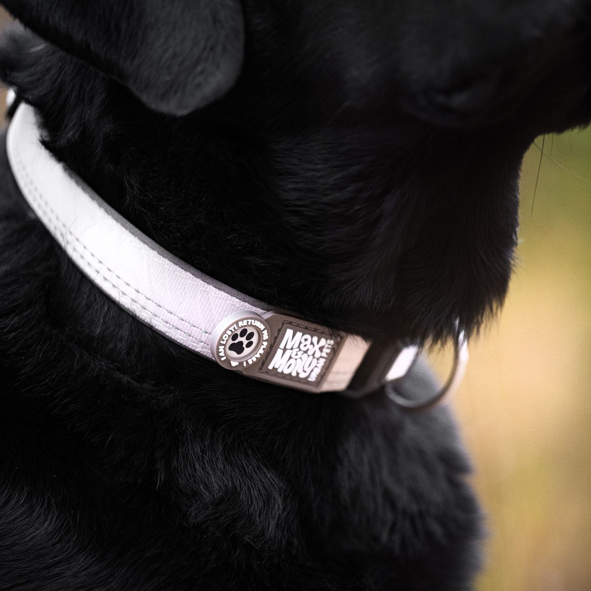 GOTCHA! Smart ID Collar - Matrix 2.0 Sand