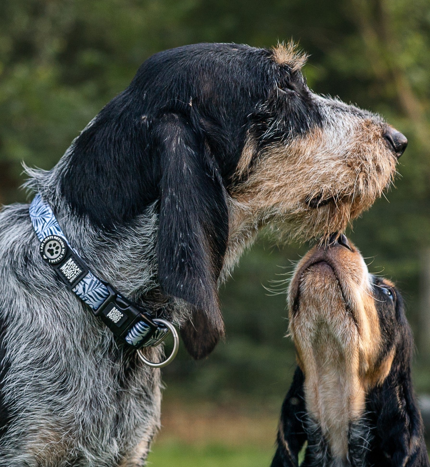 GOTCHA! Smart ID Halsband - Garden