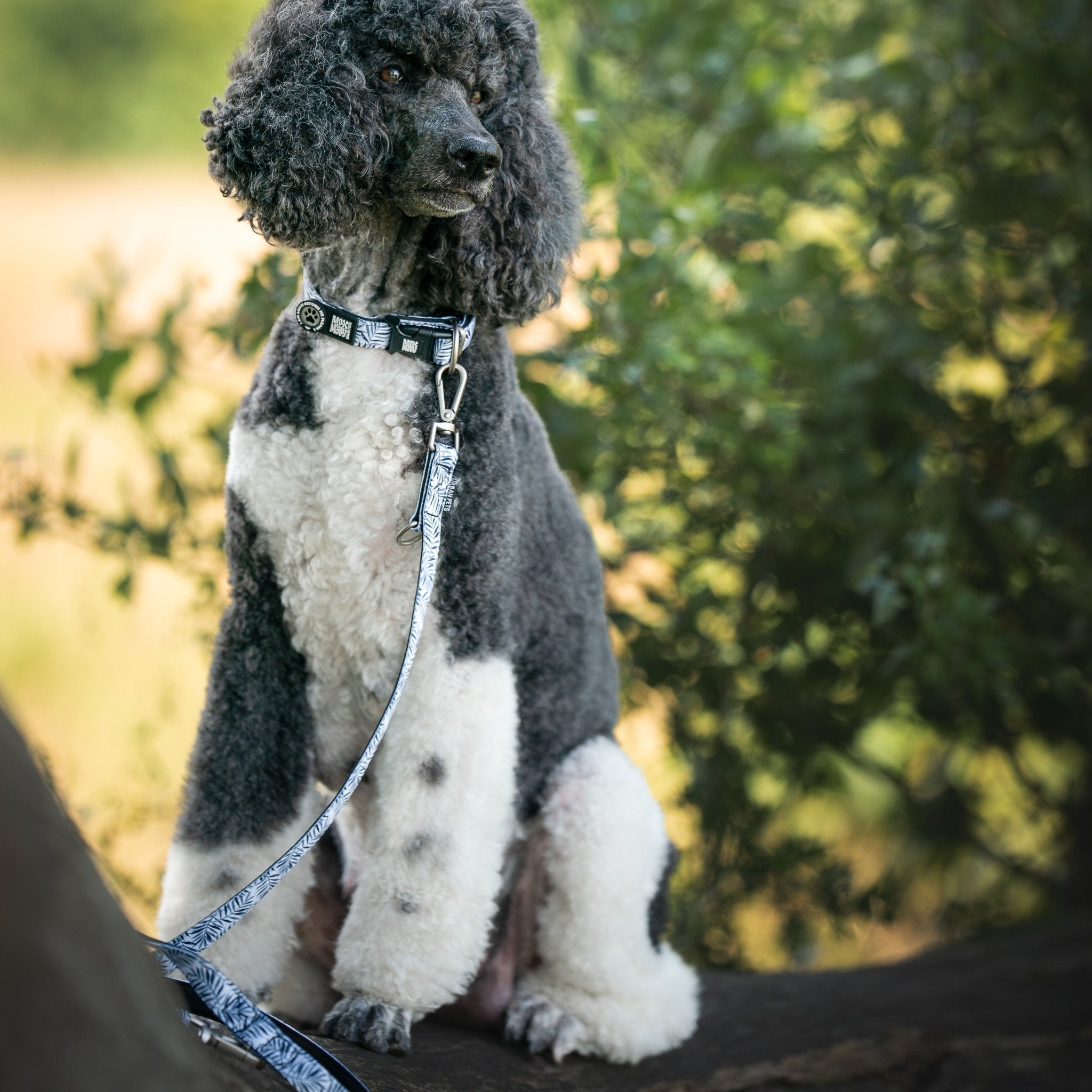Multi Function Leash - Garden