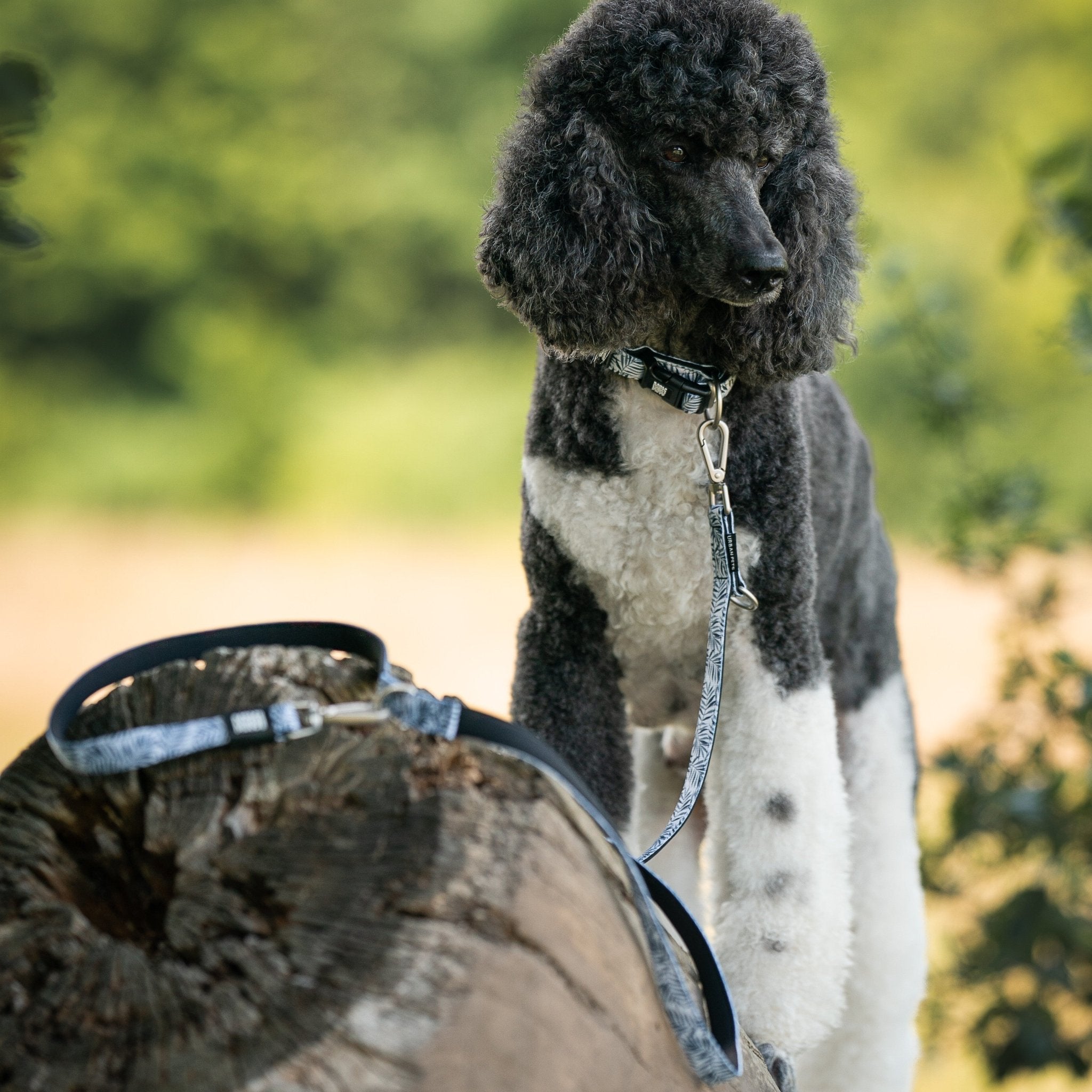 Multi Function Leash - Garden