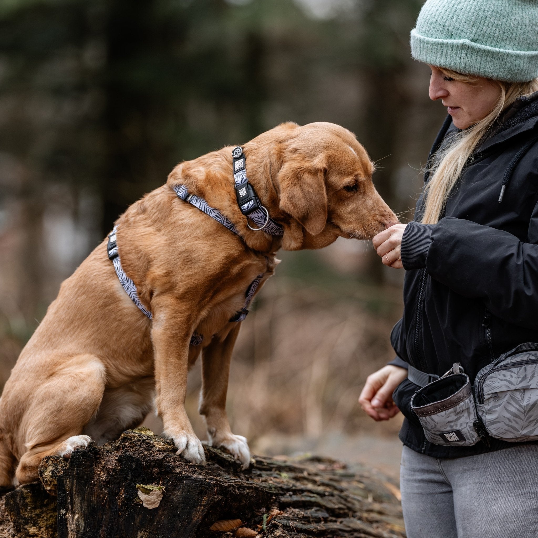 Gotcha! Smart ID H-Harness - Garden