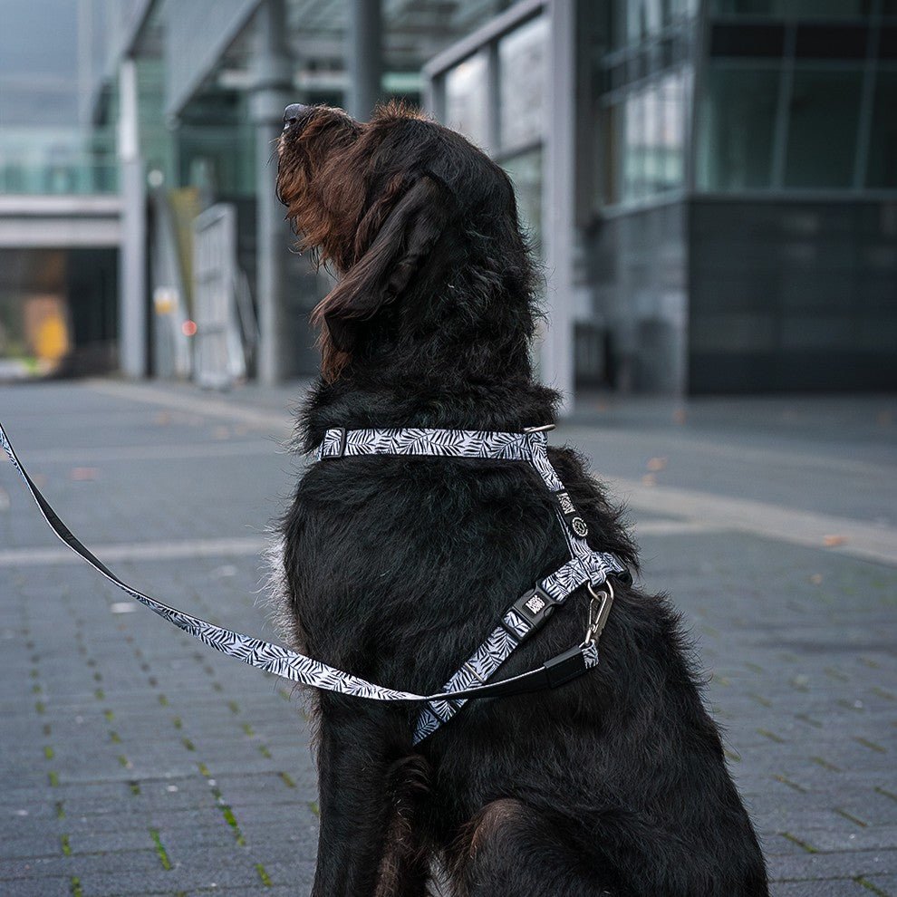 Multifunktionsleine - Garden