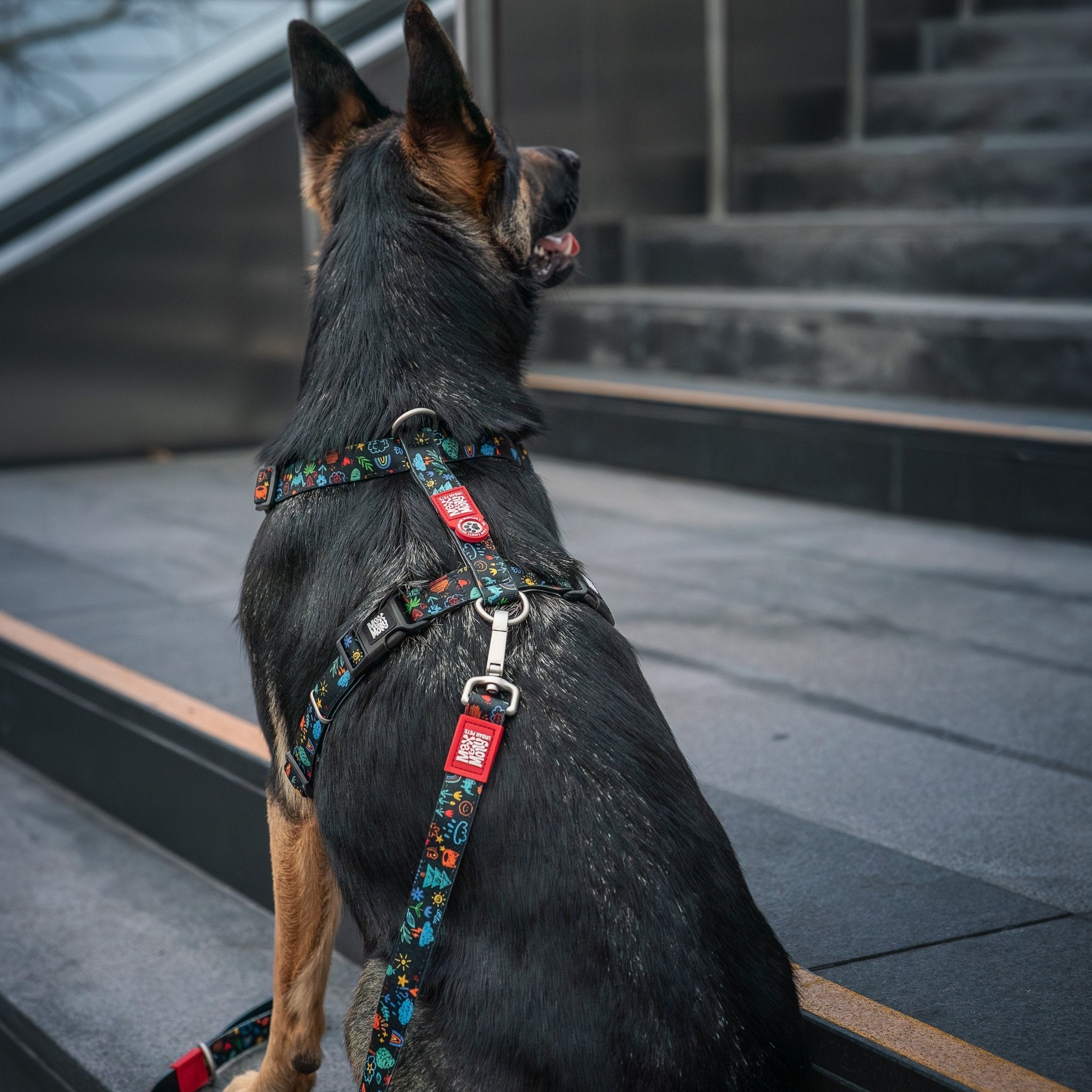 Gotcha! Smart ID H-Harness - Kindergarten