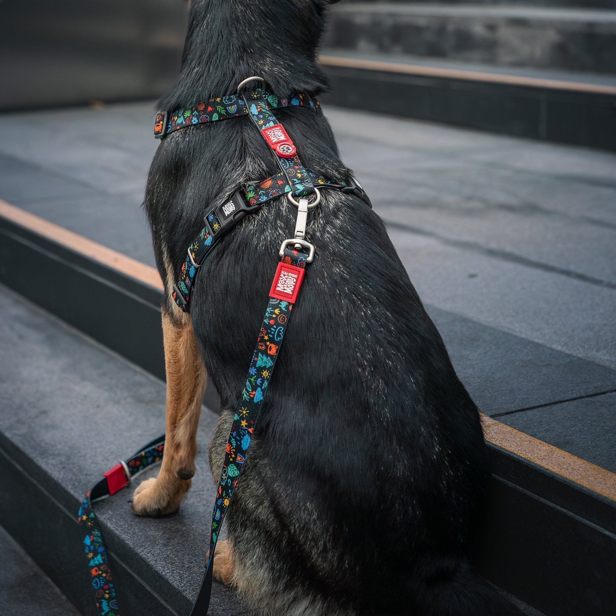 Kurzleine - Kindergarten