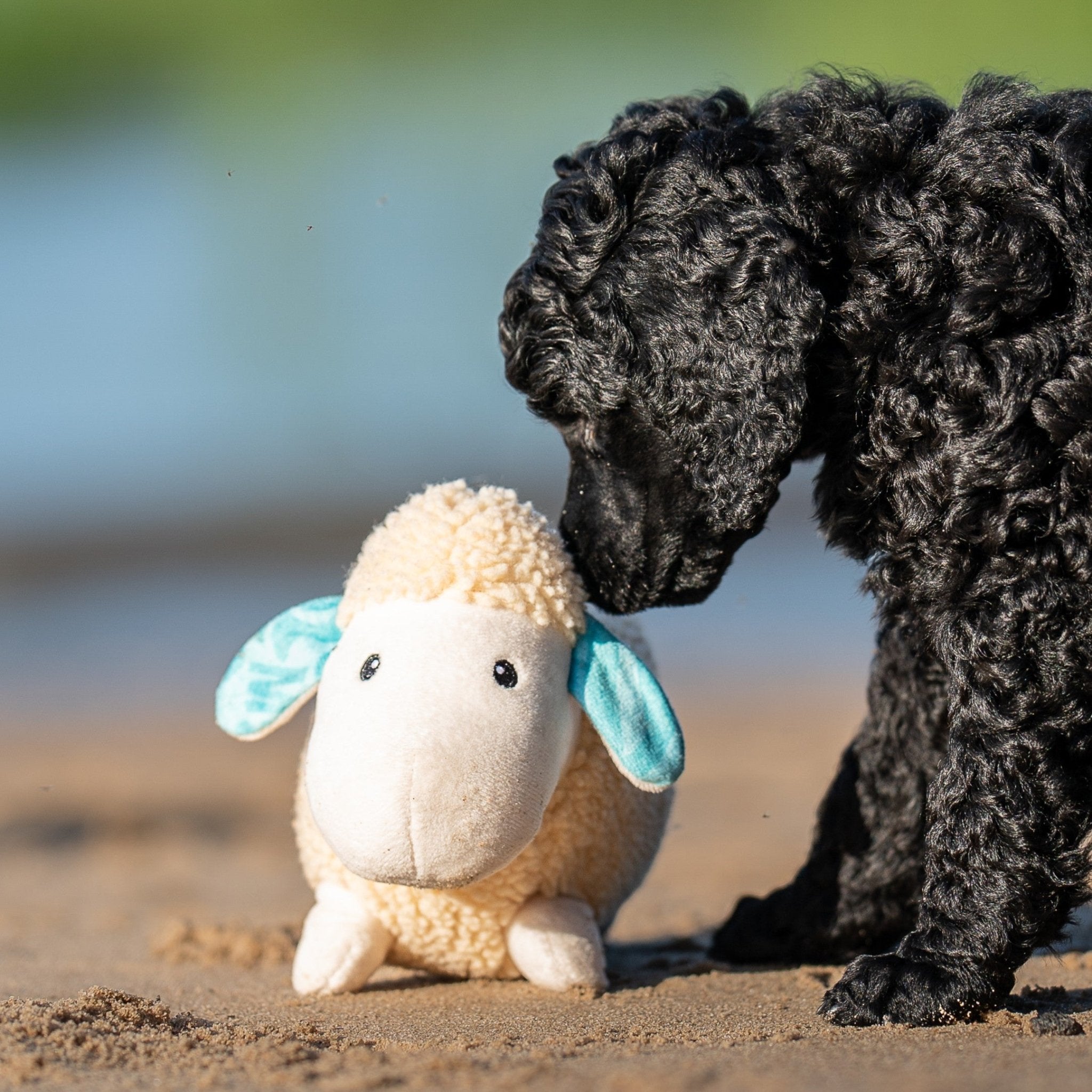 Huggles Toy - Schaf Barbara