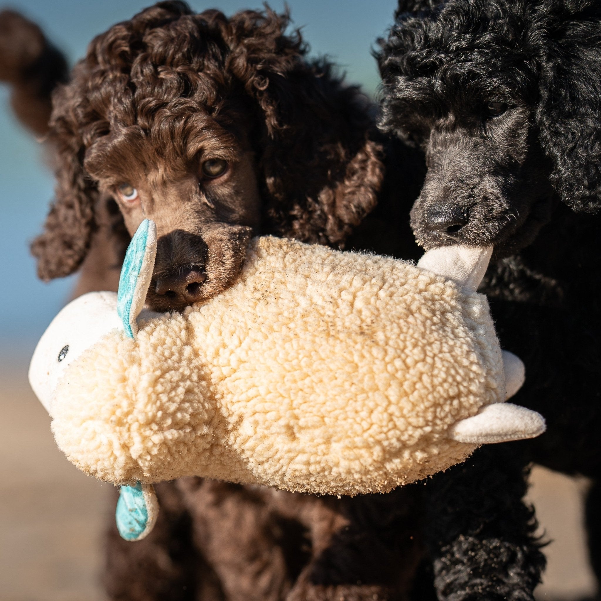 Huggles Toy - Schaf Barbara