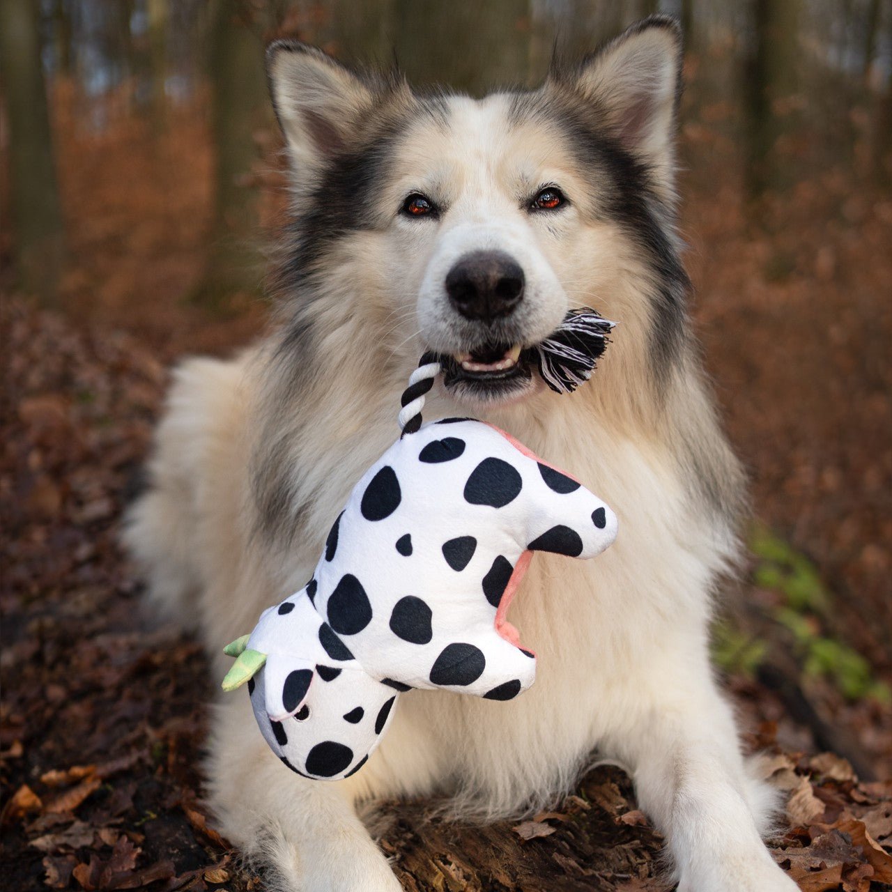 Huggles Toy - Kuh Claire